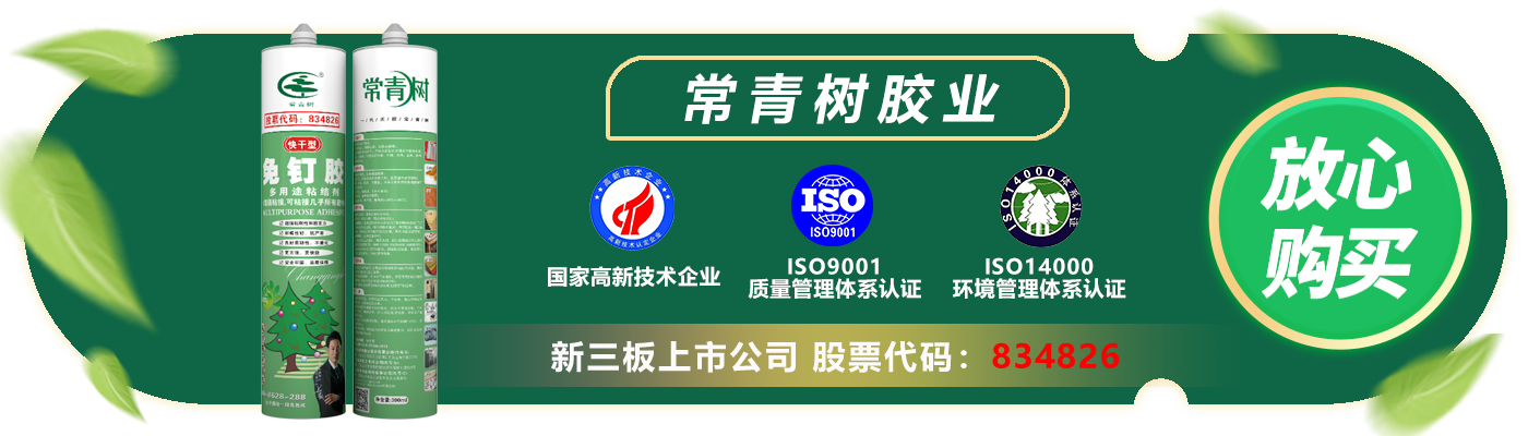 T級(jí)綠色常青樹(shù)透明免釘膠